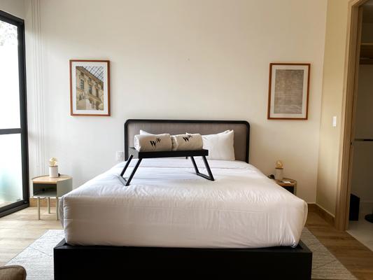 Cozy-chic loft in Cuauhtemoc