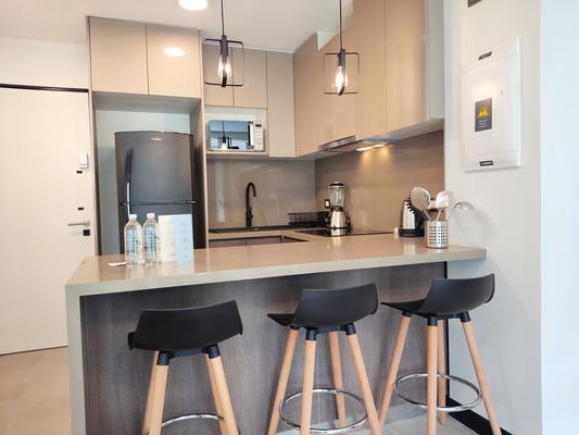 2BR in Financial District in San Isidro