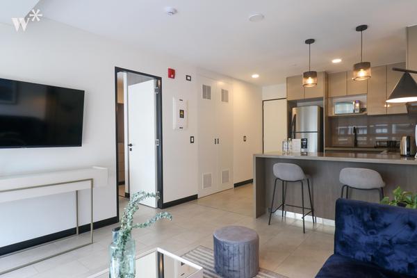 Spacious 1BR in San Isidro