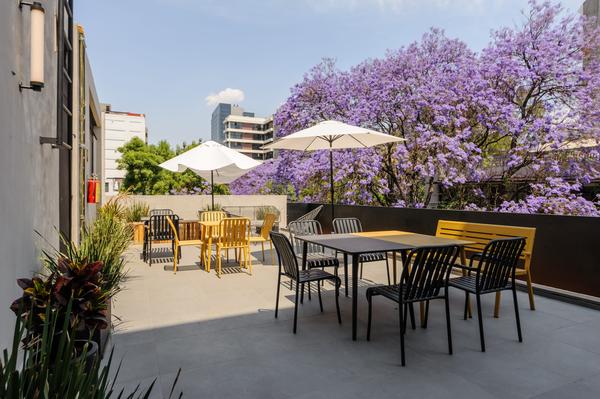 Brigh 1BR in Polanco