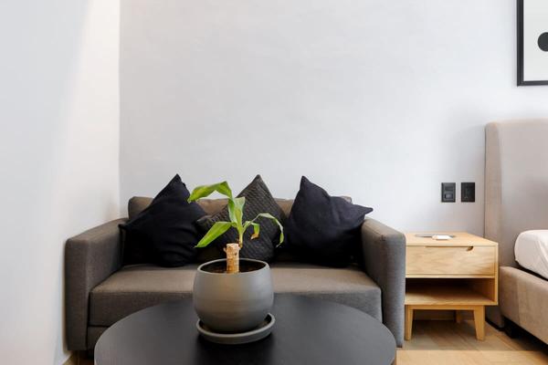 Polished Loft in Polanco