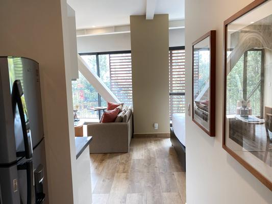 Cozy-chic loft in Cuauhtemoc